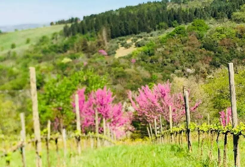 田舎風ホテル Agriturismo Fontenuova