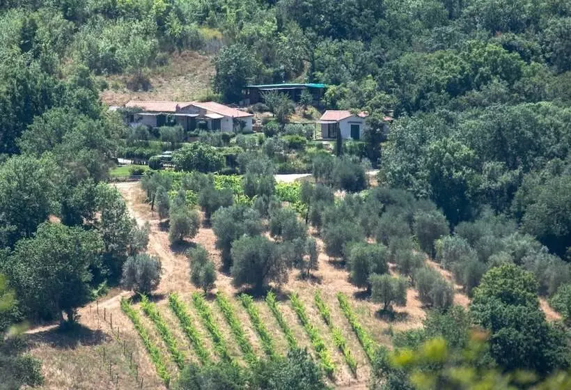 田舎風ホテル Agriturismo Fontenuova