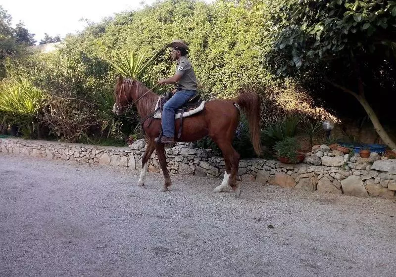 Aamiaismajoitus (B&B) Casato Calabrese