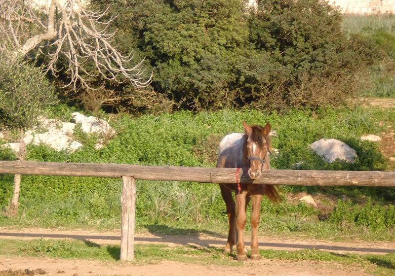 צימר Casato Calabrese