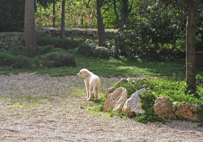 צימר Casato Calabrese