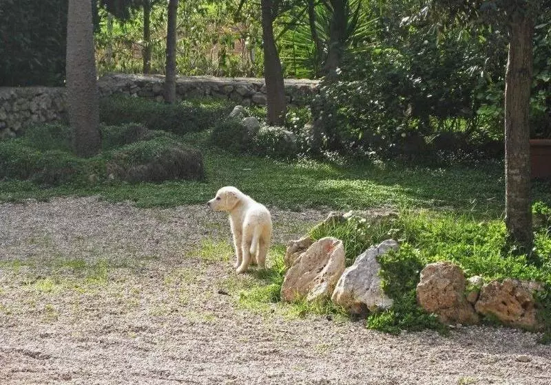 Aamiaismajoitus (B&B) Casato Calabrese