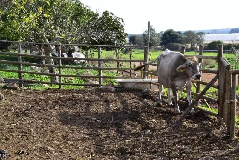 Aamiaismajoitus (B&B) Casato Calabrese