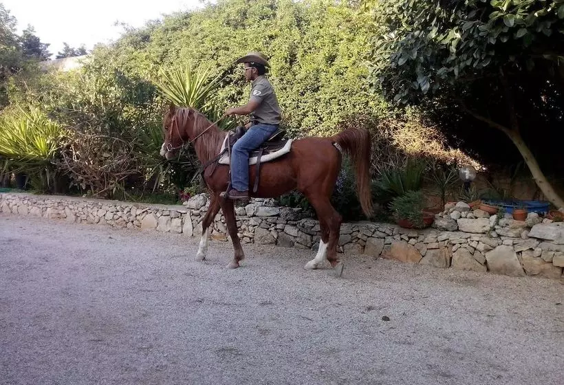 Aamiaismajoitus (B&B) Casato Calabrese