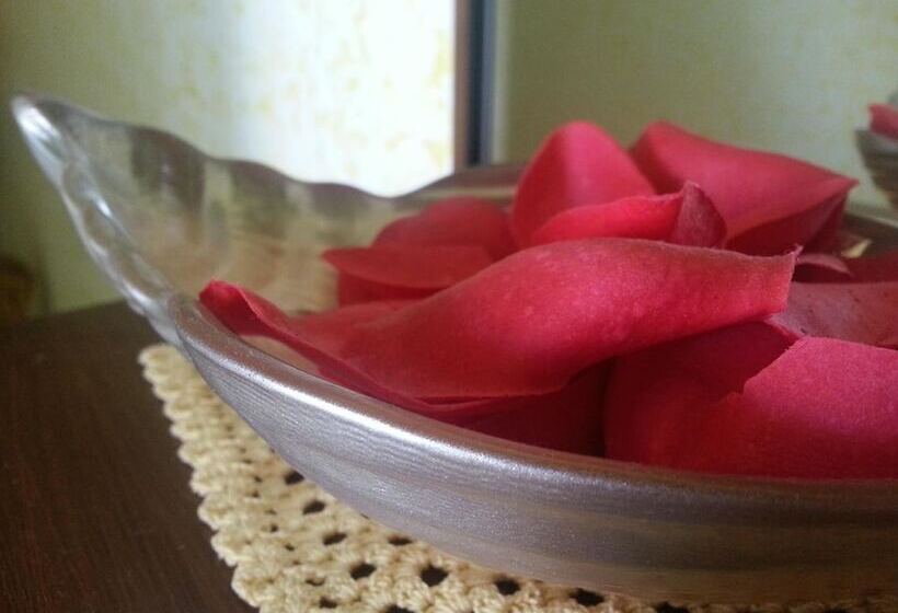 مسافرخانه Mistef