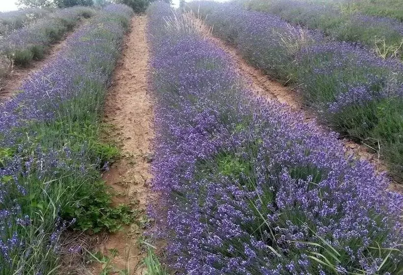 Maaseutuhotelli Villa Cheti