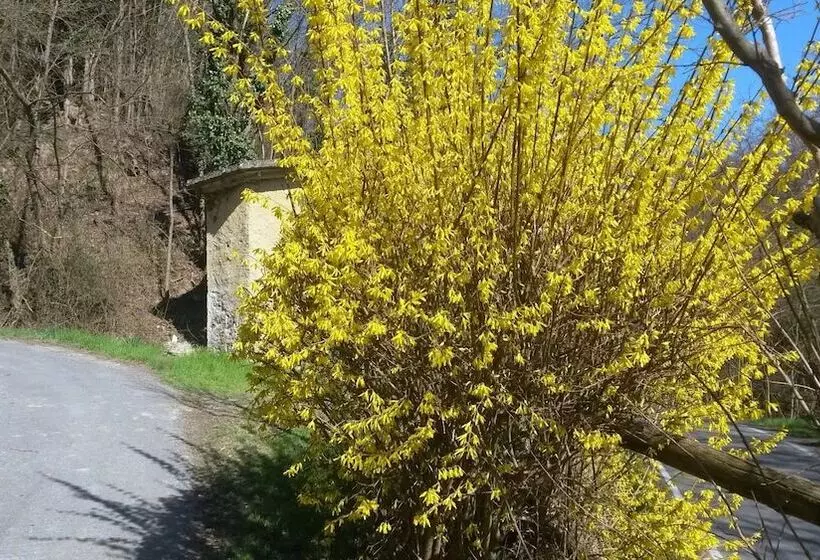 Maaseutuhotelli Villa Cheti