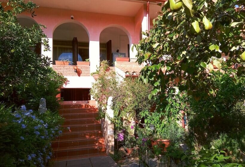 مبيت وإفطار Villa Corrias