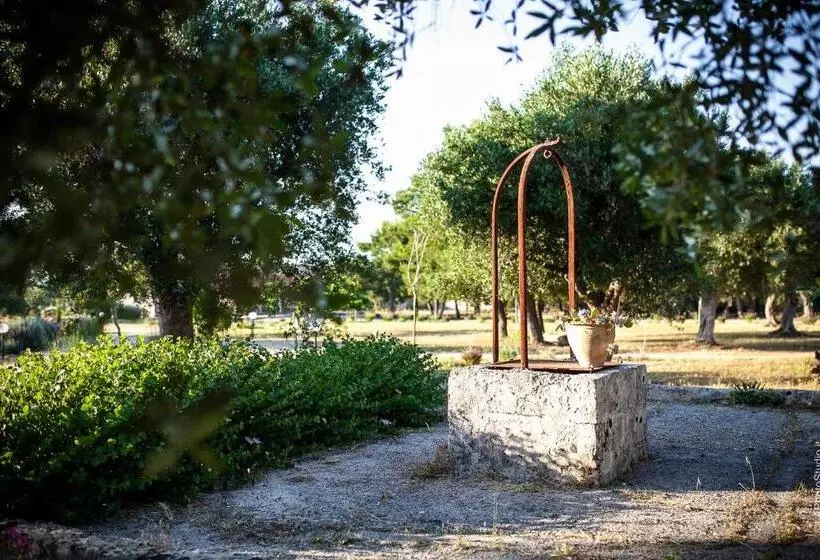 Aamiaismajoitus (B&B) Villa Delle Palme