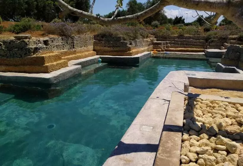 Aamiaismajoitus (B&B) Villa Delle Palme