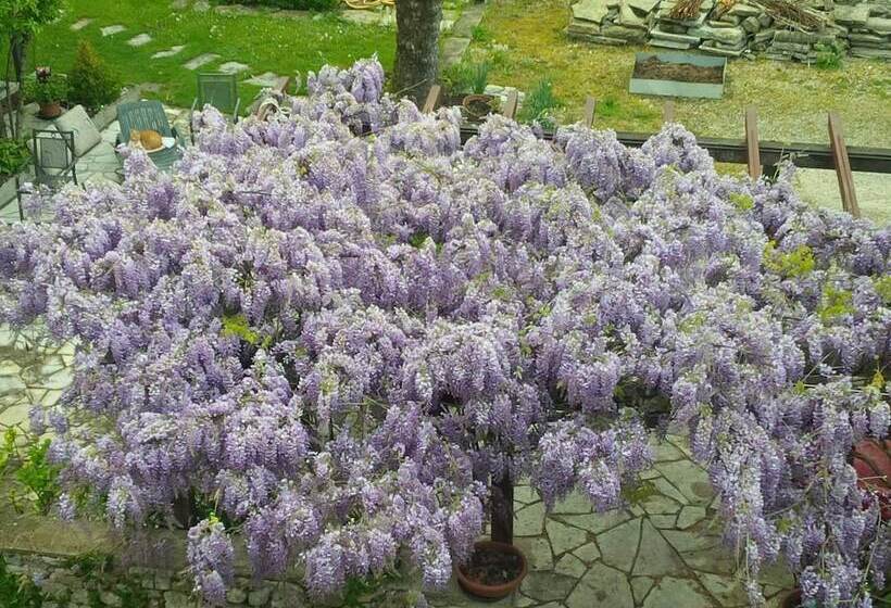 فندق Al Cavallino