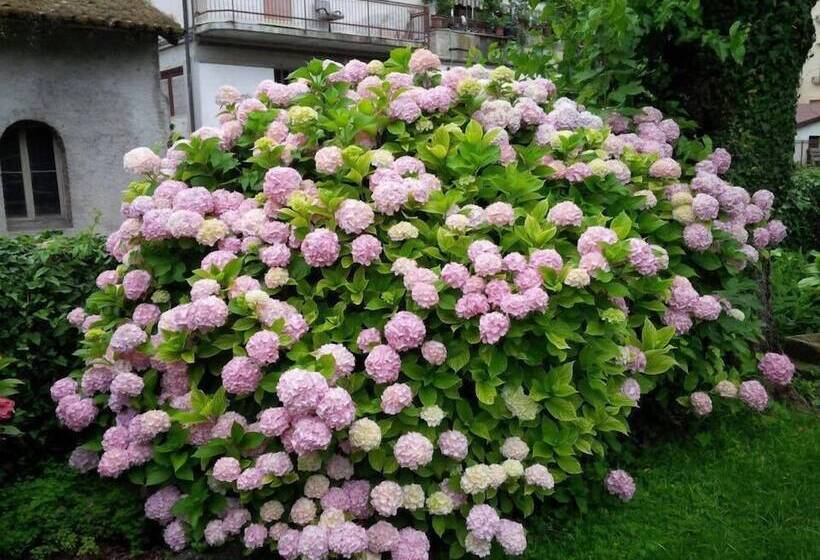 فندق Al Cavallino