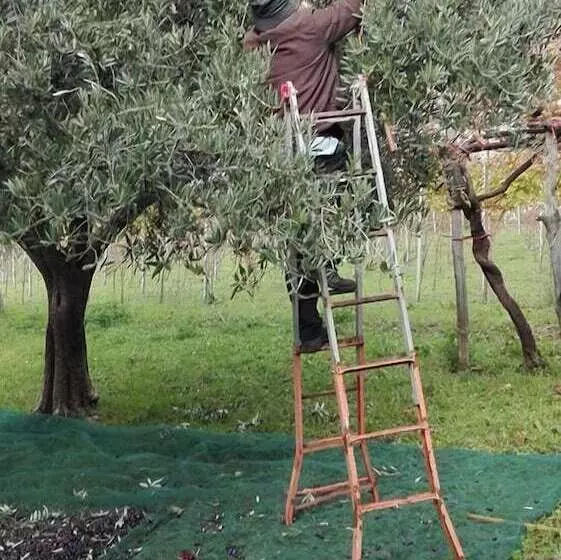田舎風ホテル Agriturismo Mare E Monti