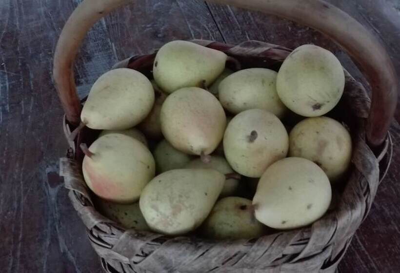 교외 호텔 Agriturismo Mare E Monti