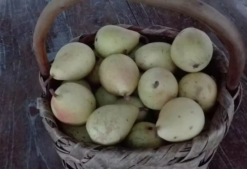 田舎風ホテル Agriturismo Mare E Monti