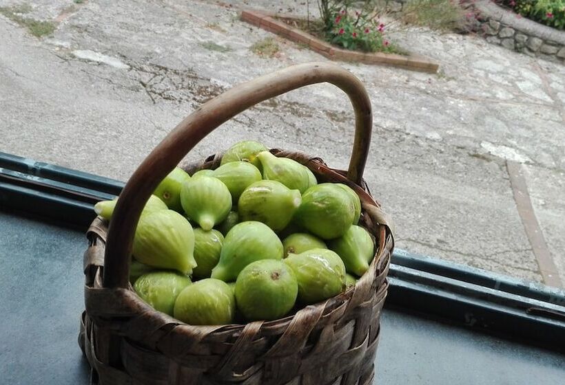 교외 호텔 Agriturismo Mare E Monti