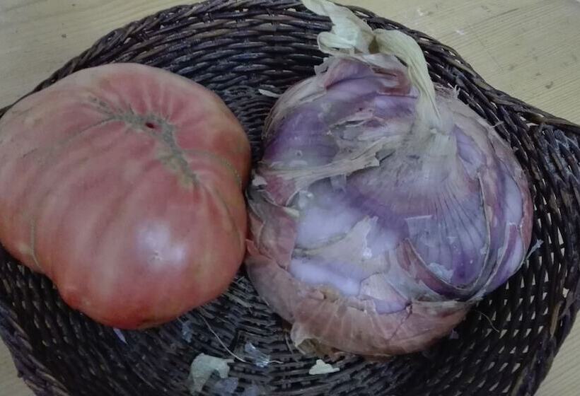 교외 호텔 Agriturismo Mare E Monti