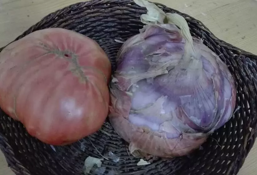 田舎風ホテル Agriturismo Mare E Monti