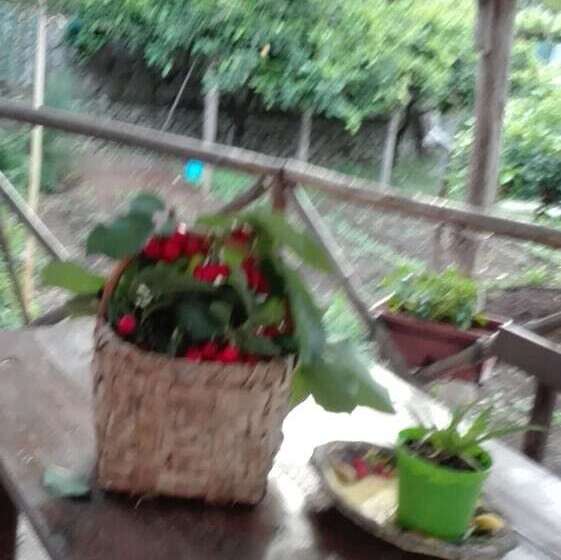 교외 호텔 Agriturismo Mare E Monti