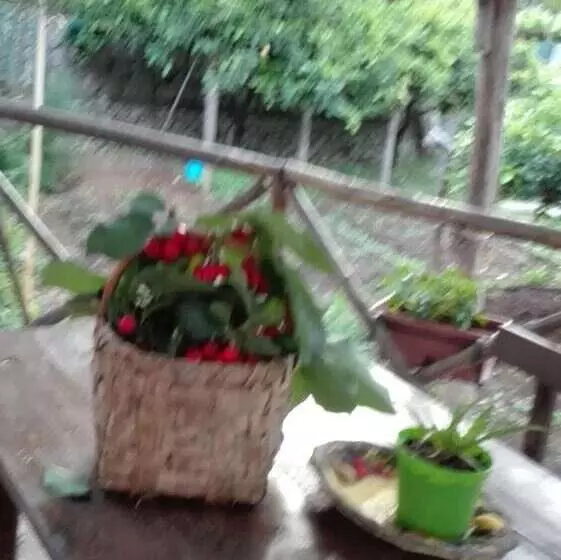 田舎風ホテル Agriturismo Mare E Monti