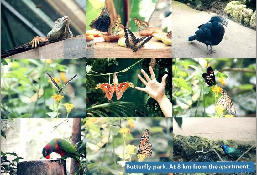 Inmosantos Apartamentos Daniel