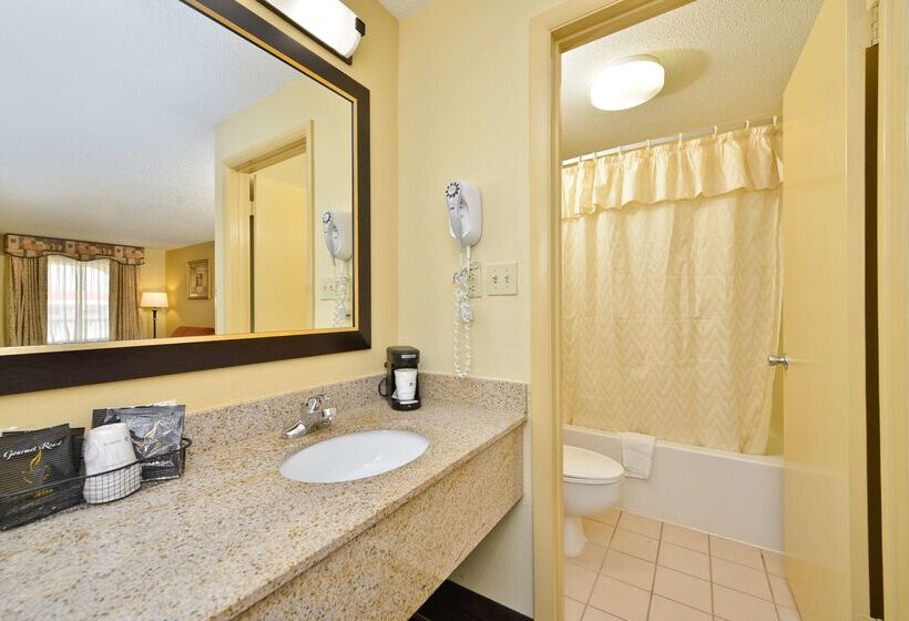 酒店 Best Western Greenville Inn