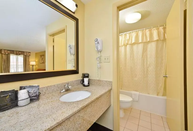 Отель Best Western Greenville Inn