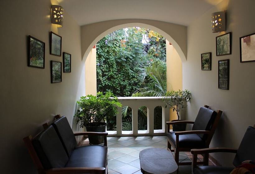 Отель Casa Conzatti