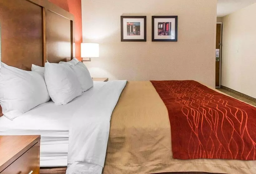 Отель Comfort Inn Boston