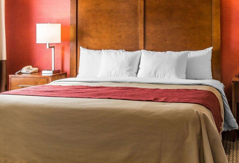 Отель Comfort Inn Boston