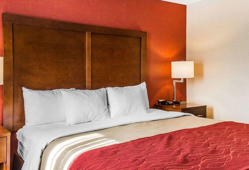 Отель Comfort Inn Boston