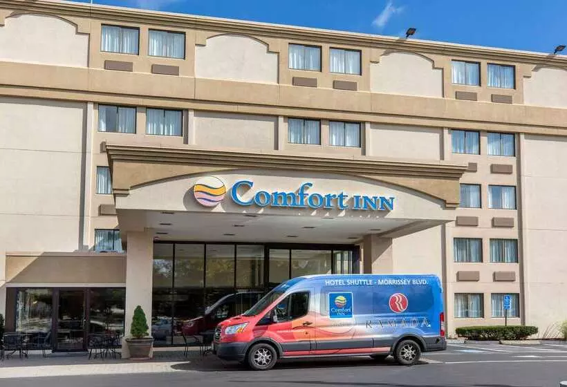 Отель Comfort Inn Boston