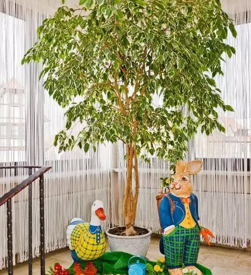 酒店 Merian Rothenburg