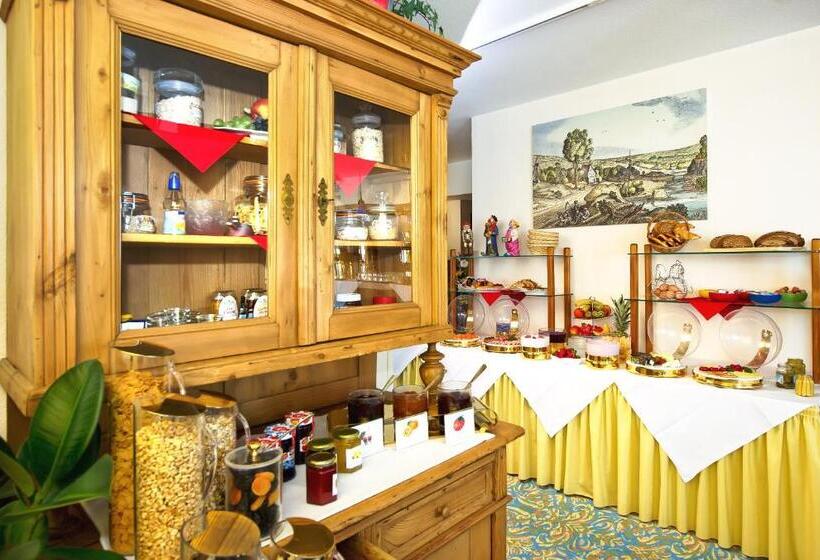 فندق Merian Rothenburg