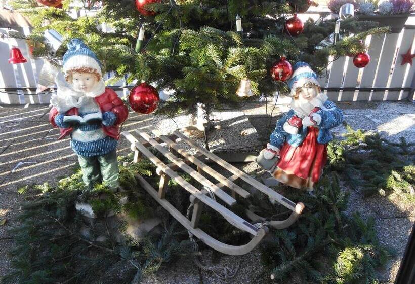 فندق Merian Rothenburg