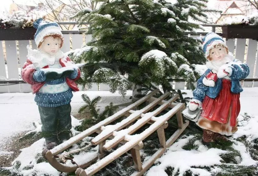 酒店 Merian Rothenburg