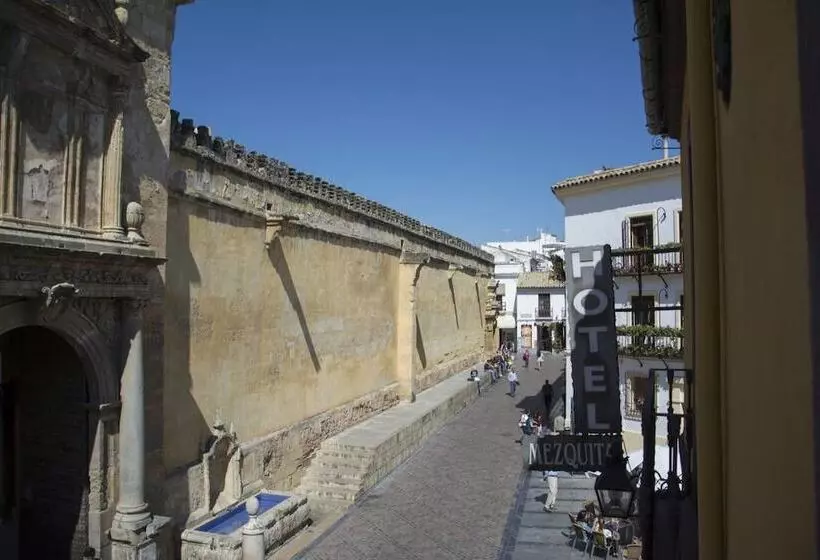 Hotel Casa Museo De La Mezquita