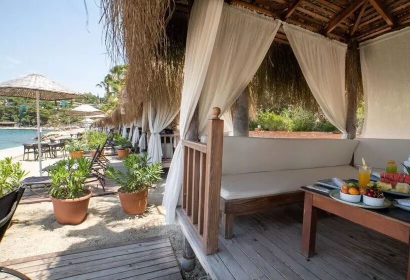 ホテル Pine Bay Holiday Resort