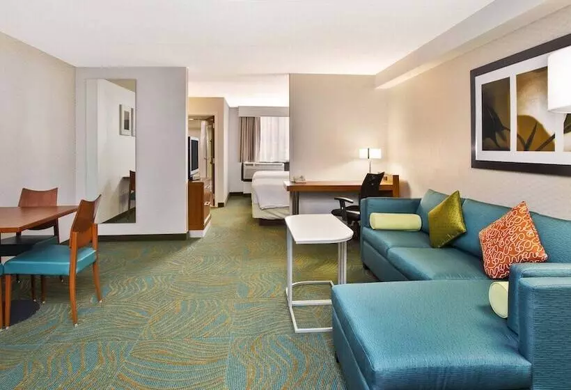 هتل Springhill Suites By Marriott Chicago Elmhurst Oakbrook Area