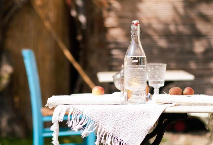 צימר Cortis Antigas