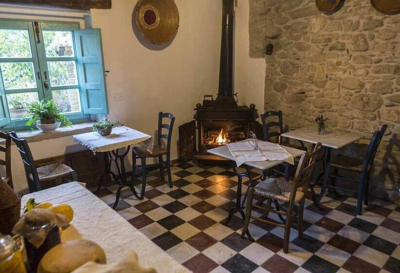 צימר Cortis Antigas