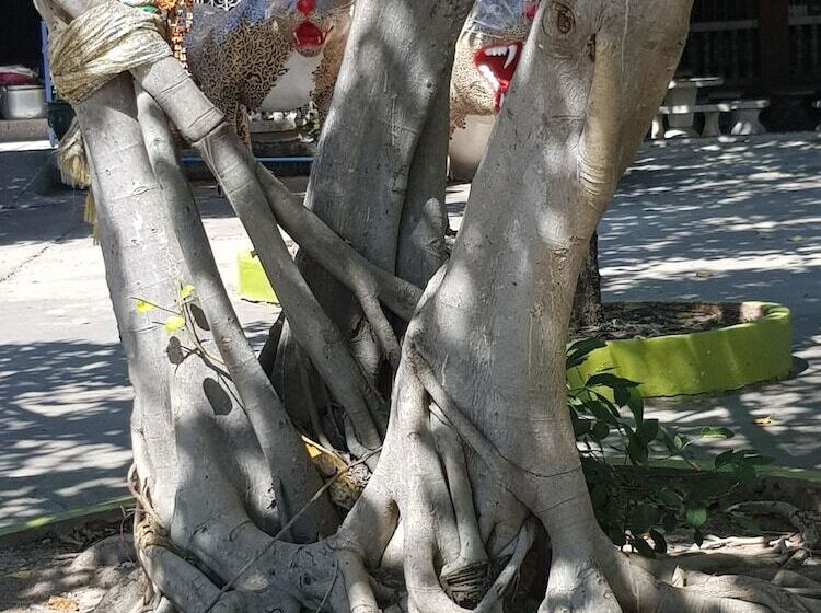 هتل Palada Guest House