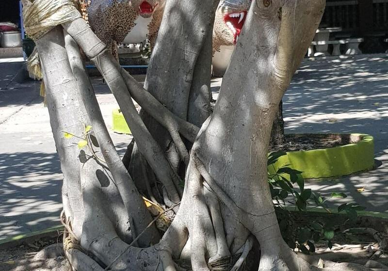 هتل Palada Guest House