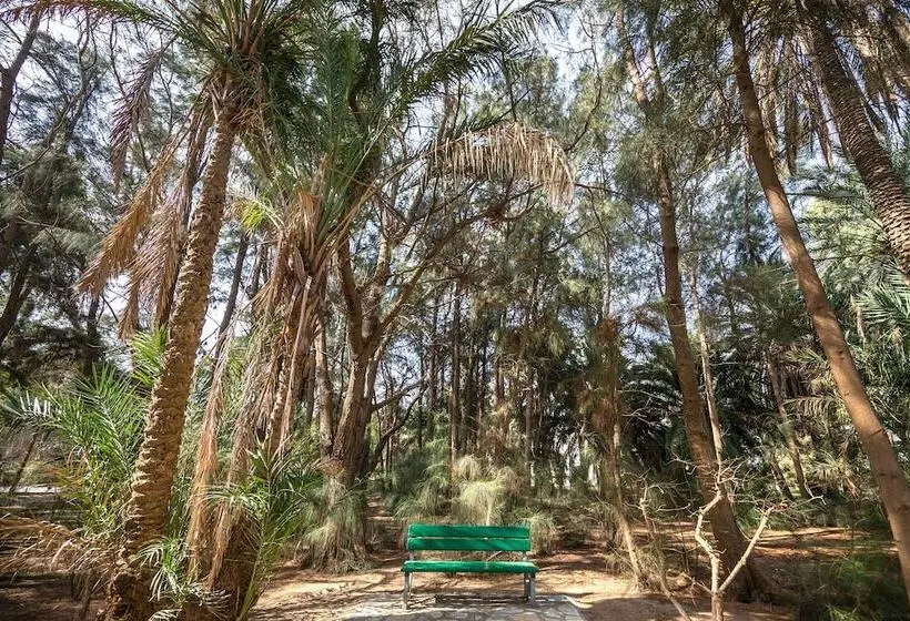 هتل Marhaba Royal Salem