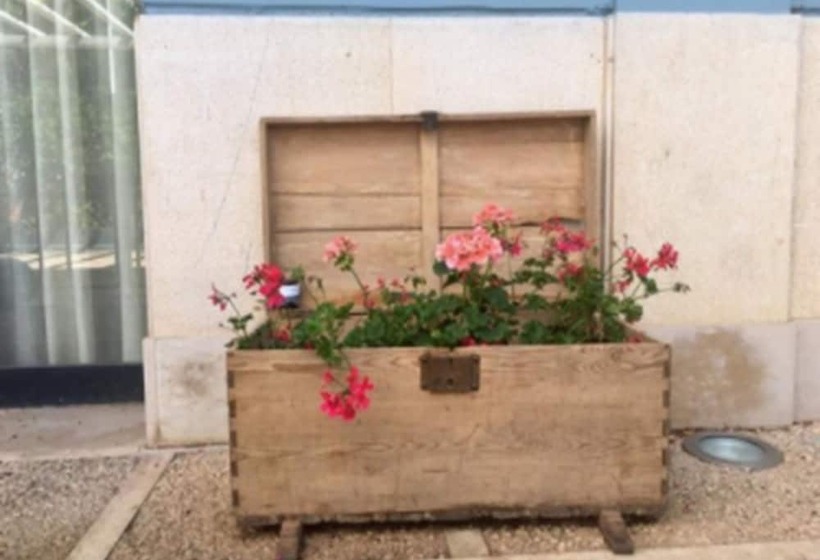 Отель Patilla Ciudad De Requena