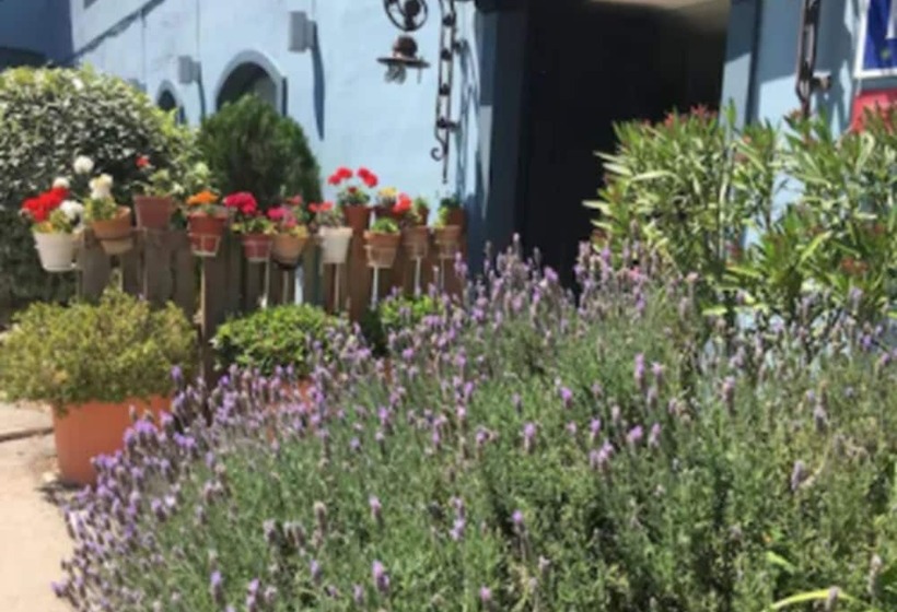 Отель Patilla Ciudad De Requena