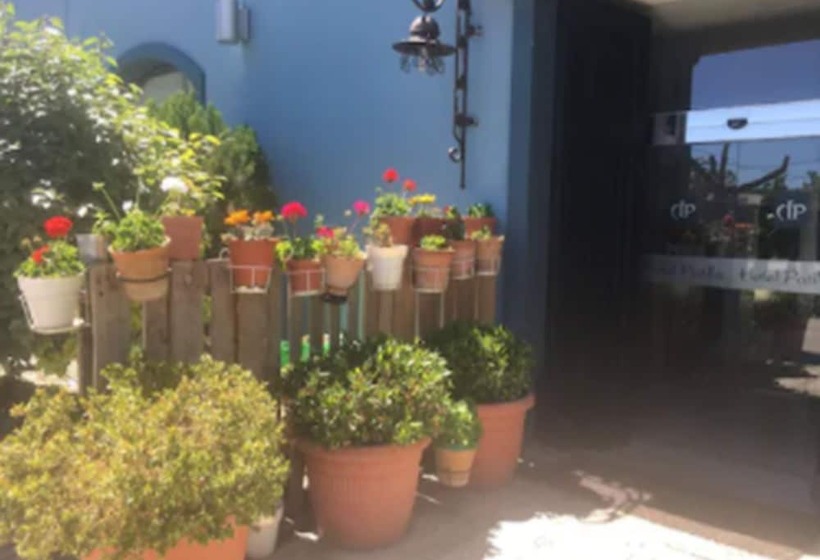Отель Patilla Ciudad De Requena