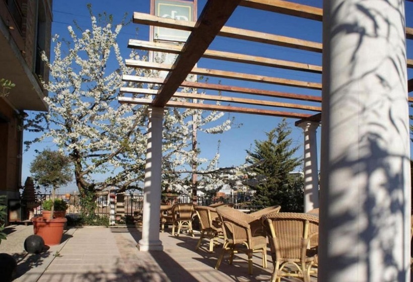 Отель Patilla Ciudad De Requena