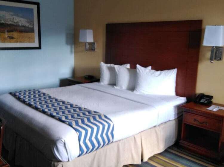 ホテル Travelodge By Wyndham Bishop