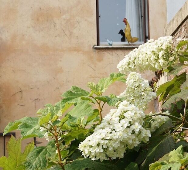 تختخواب و صبحانه Bed &breakfast Portico Rosso